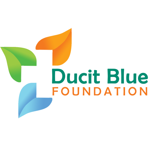Foundation @ Ducitblue